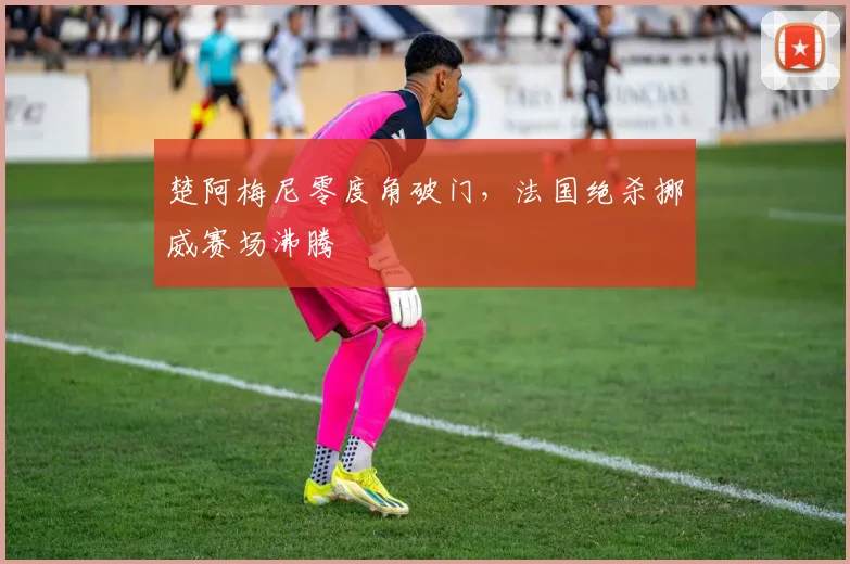 楚阿梅尼零度角破门,法国绝杀挪威赛场沸腾