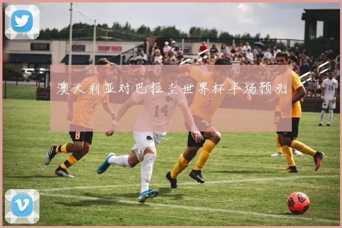 澳大利亚对巴拉圭世界杯半场预测