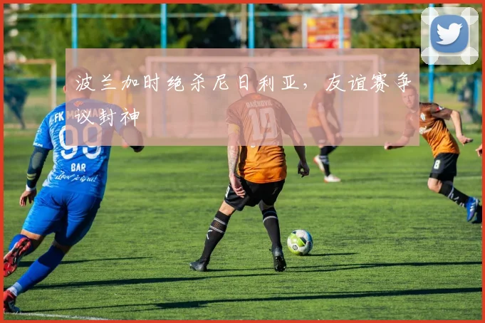 波兰加时绝杀尼日利亚,友谊赛争议封神