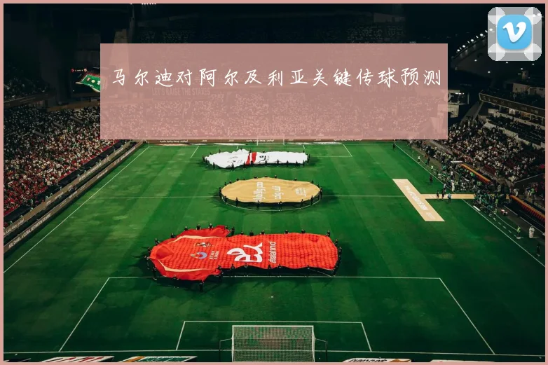 马尔迪对阿尔及利亚关键传球预测