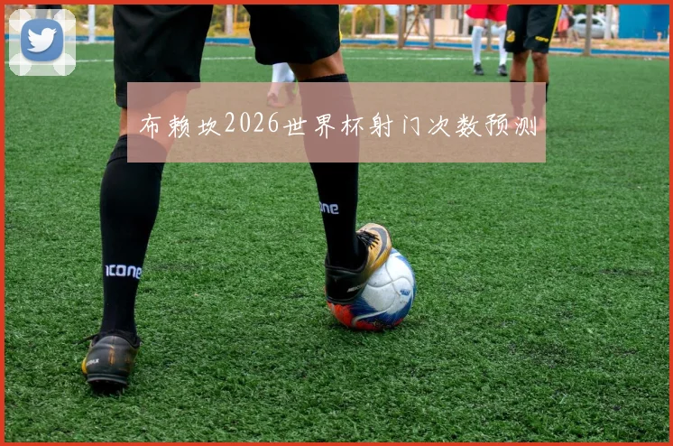 布赖坎2026世界杯射门次数预测