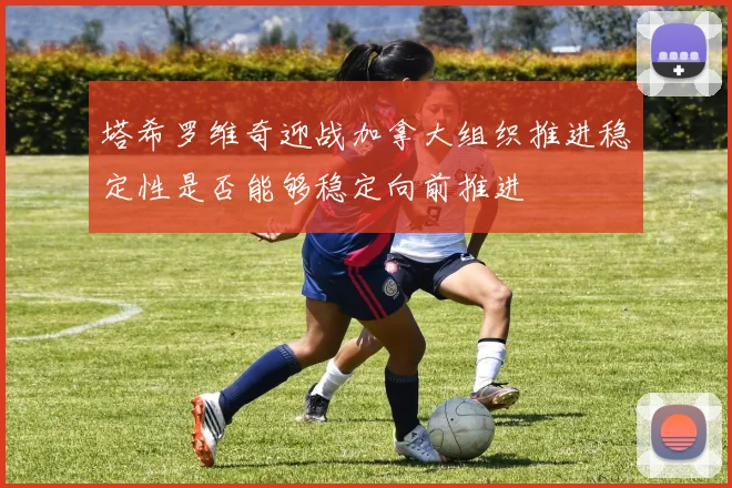 塔希罗维奇迎战加拿大组织推进稳定性是否能够稳定向前推进
