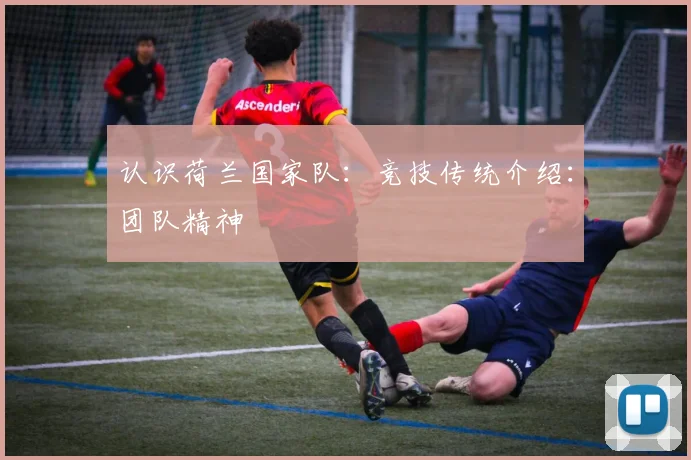 认识荷兰国家队：竞技传统介绍：团队精神