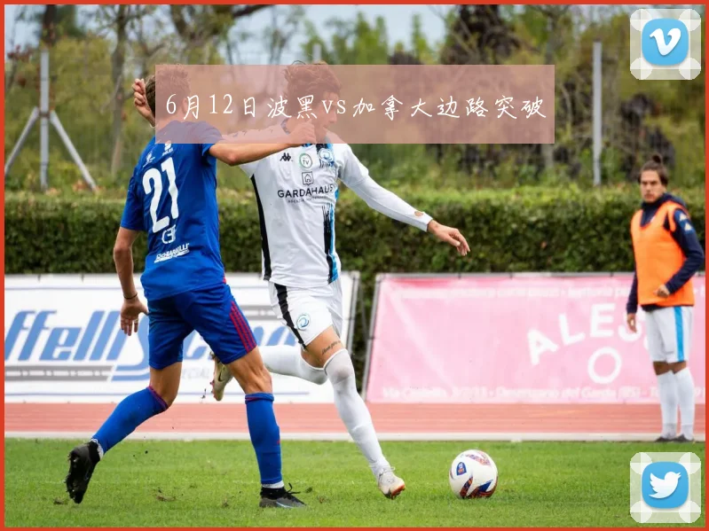 6月12日波黑vs加拿大边路突破
